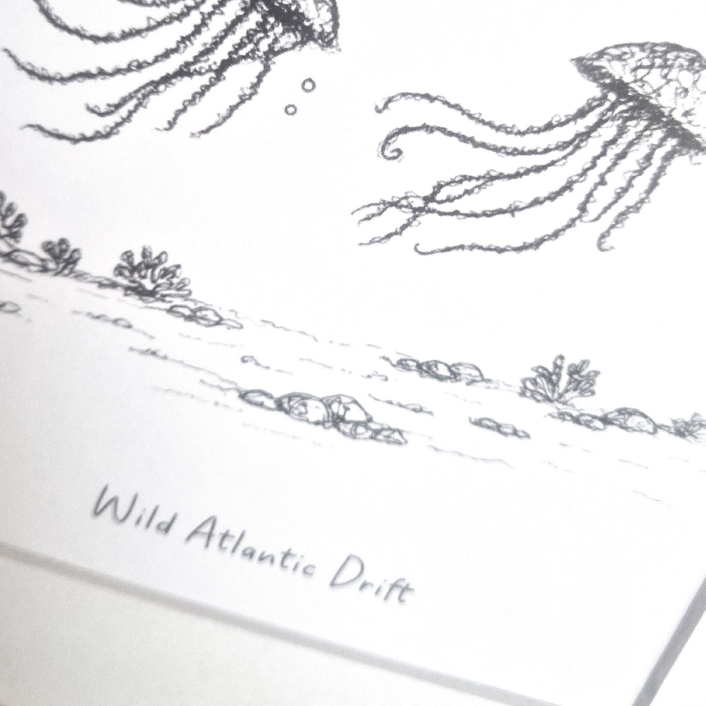 Wild Atlantic Jellyfish